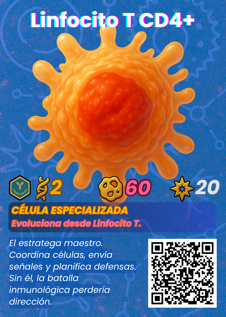 Linfocito T CD4+